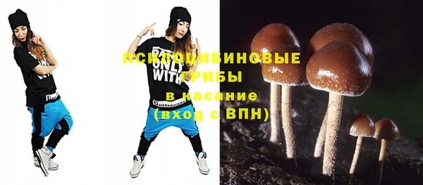 бутират Белокуриха