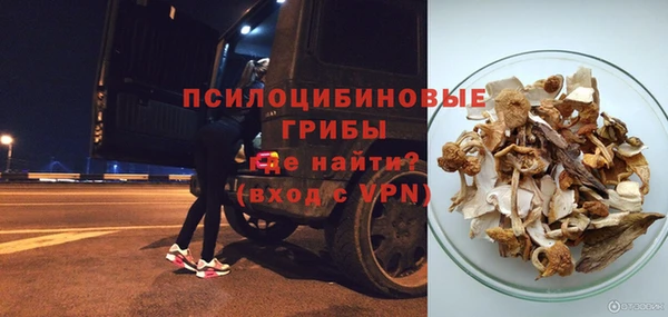 бутират Белокуриха