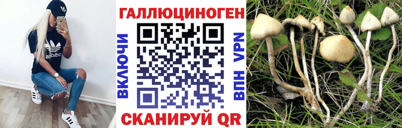 Галлюциногенные грибы прущие грибы  даркнет сайт  Маркс 